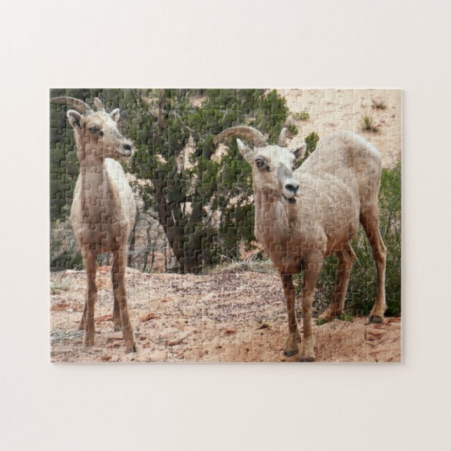Funny Bighorn Sheep at Zion National Park Jigsaw Puzzle (Horizontal)