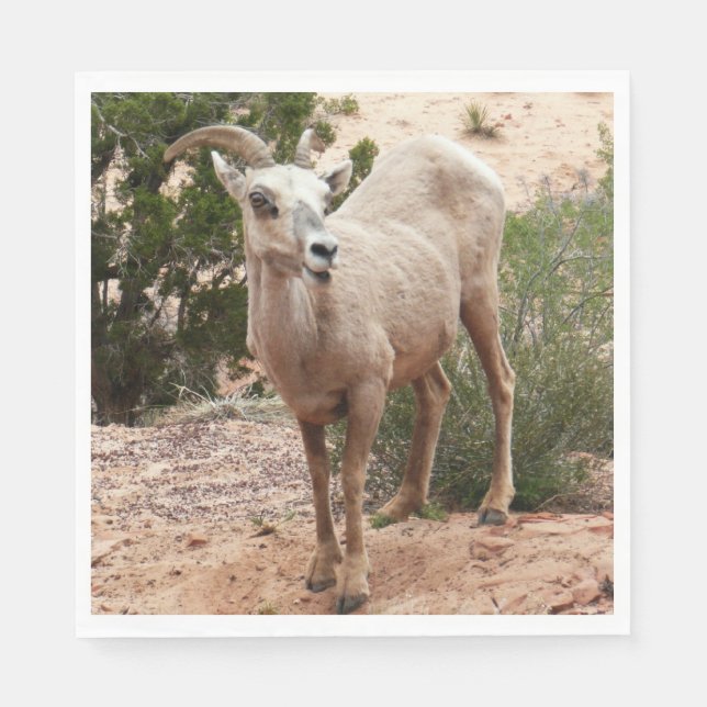 Funny Bighorn Sheep at Zion National Park Napkin (Front)