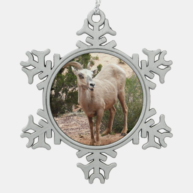 Funny Bighorn Sheep at Zion National Park Snowflake Pewter Christmas Ornament (Front)