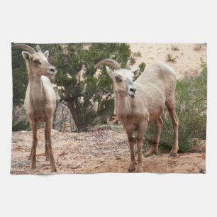 Funny Bighorn Sheep at Zion National Park Tea Towel