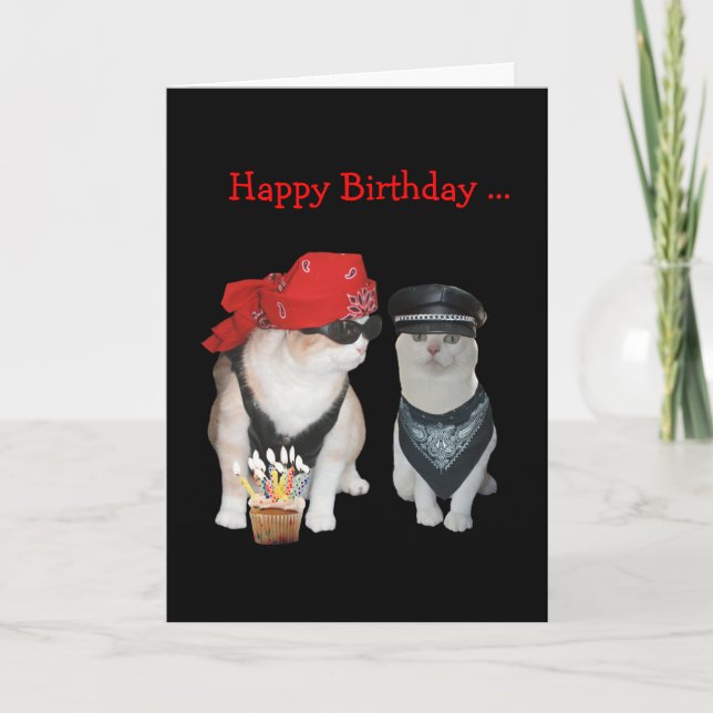 Funny Biker Cat Birthday Card (Front)