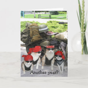 Funny Biker Cats Birthday Card
