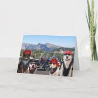 Funny Biker Dogs on a Mountain Birthday