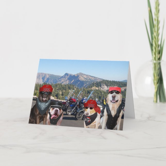 Funny Biker Dogs on a Mountain Birthday Card (Front)