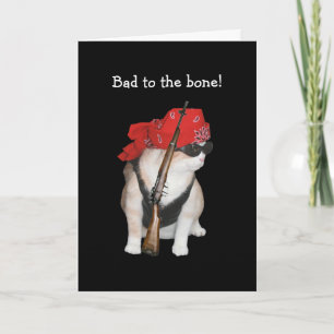 Funny Biker/Nonconformist Cat Birthday Card