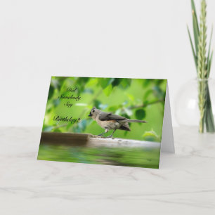 Funny Bird Birthday Card