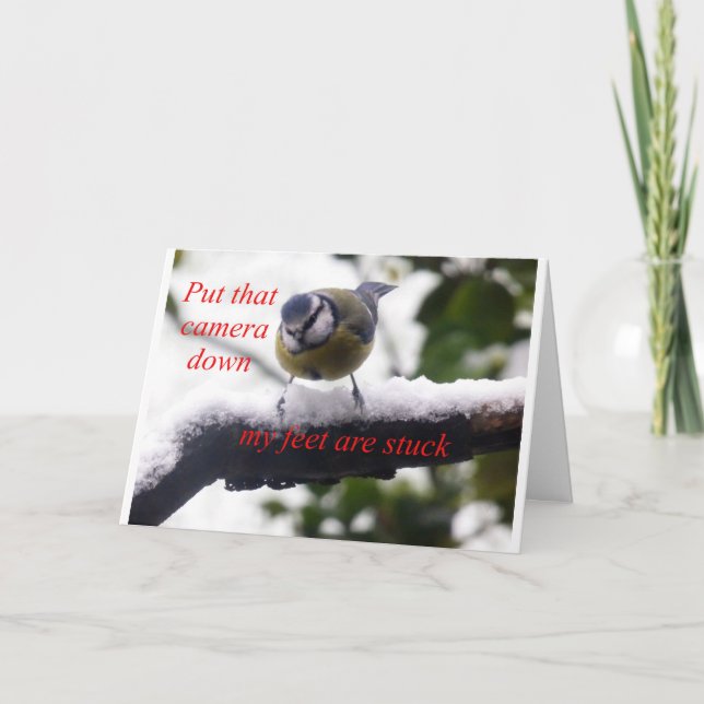 funny bird in the snow card (Front)