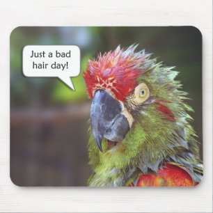 Funny Bird Mousepad