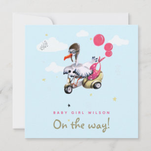 Funny Bird Pink Balloon Girl Simple Cute Pregnancy Announcement