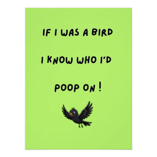 Funny Bird Poster