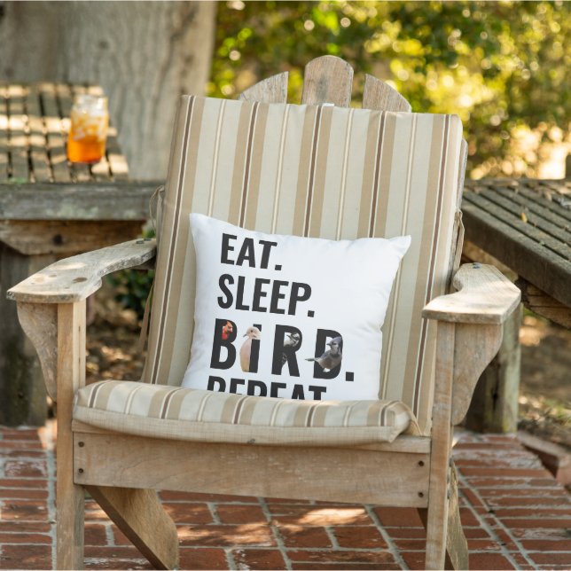 Funny Bird Quote Modern Typography  Cushion (Chair)