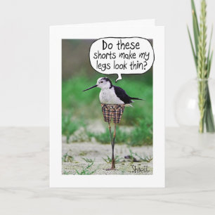 FUNNY BIRD SHORTS Card or gift