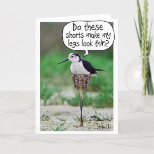 FUNNY BIRD SHORTS Card or gift