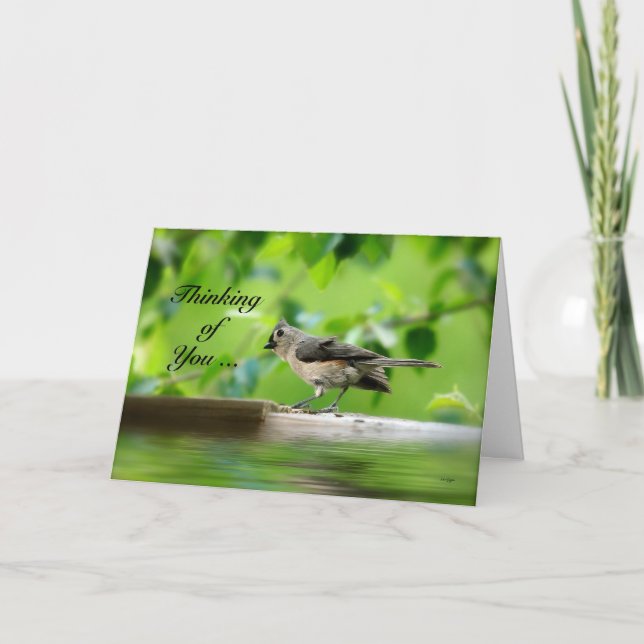 Funny Bird - Thinking of You Card (Front)