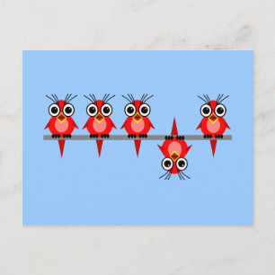 funny birds postcard