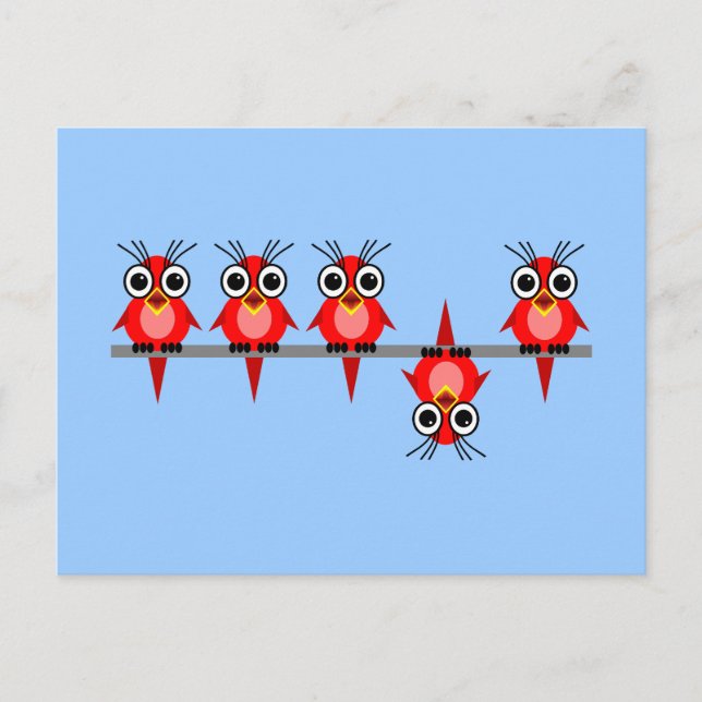 funny birds postcard (Front)