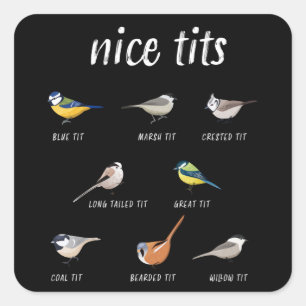 Funny birdwatching gift for birder bird watcher square sticker