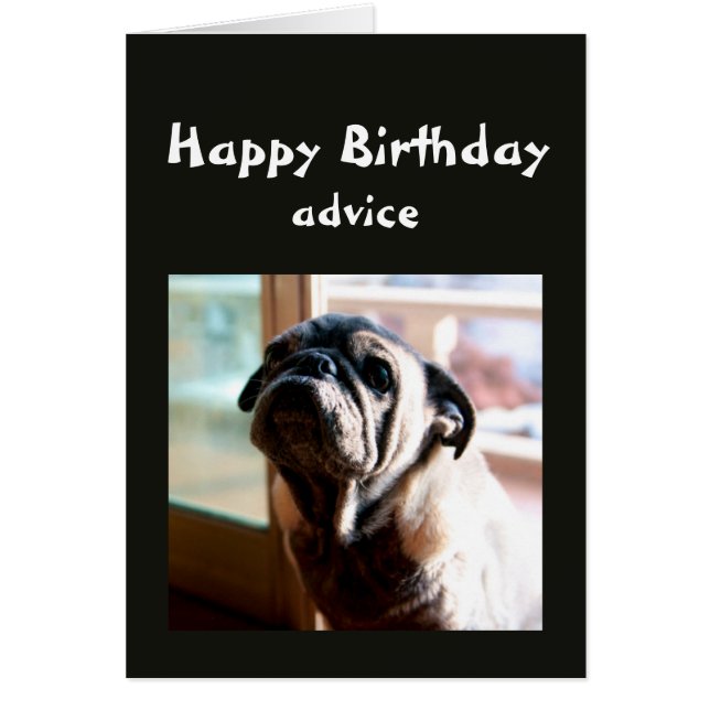 Funny Birthday Advice about Lighting from Pug Dog (Front)