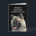 Funny Birthday Brother Dog Animal Humour Card<br><div class="desc">Everyone should have a brother like you.  I don't see why I have to be the only one to suffer</div>