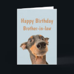 Funny Birthday Brother-in-law Shocked Dog Animal Card<br><div class="desc">Have so much fun on your Birthday that your pet gets worried.  Happy Birthday for Brother-in-law with humourous verse inside and shocked looking dog</div>