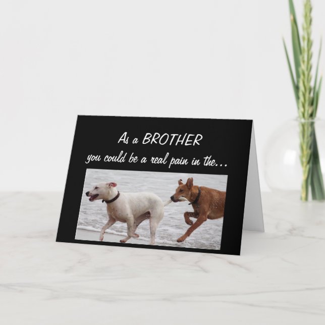 Funny Birthday Brother Pain in the Cute Dogs Card (Front)