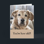 Funny Birthday Card<br><div class="desc">Funny birthday card with golden retriever.</div>