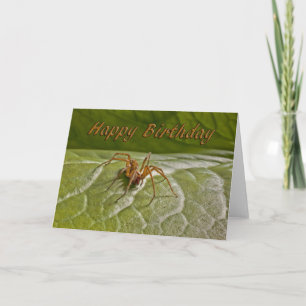 Funny birthday card