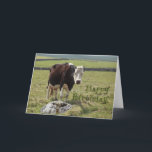 Funny birthday card<br><div class="desc">Lone cow standing in a field looking at the camera</div>