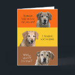 Funny Birthday Card<br><div class="desc">Funny birthday card with golden retrievers on it. This card is customizable with your personalized message and/or name.</div>