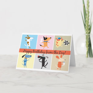 Funny Birthday Card from the Dog