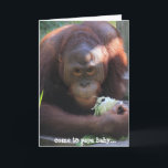 Funny Birthday Card, Orangutan Birthday Kiss! Card<br><div class="desc">Funny Birthday Card,  Orangutan Birthday Kiss!</div>