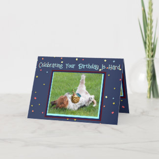 Funny Birthday Card w/Basset & Tropical Pineapple 