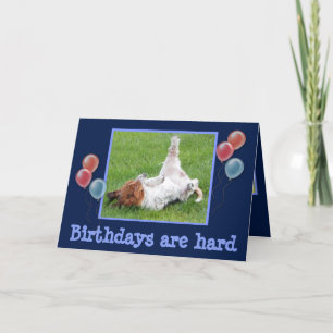 Funny Birthday Card w/Cute Basset & Champagne