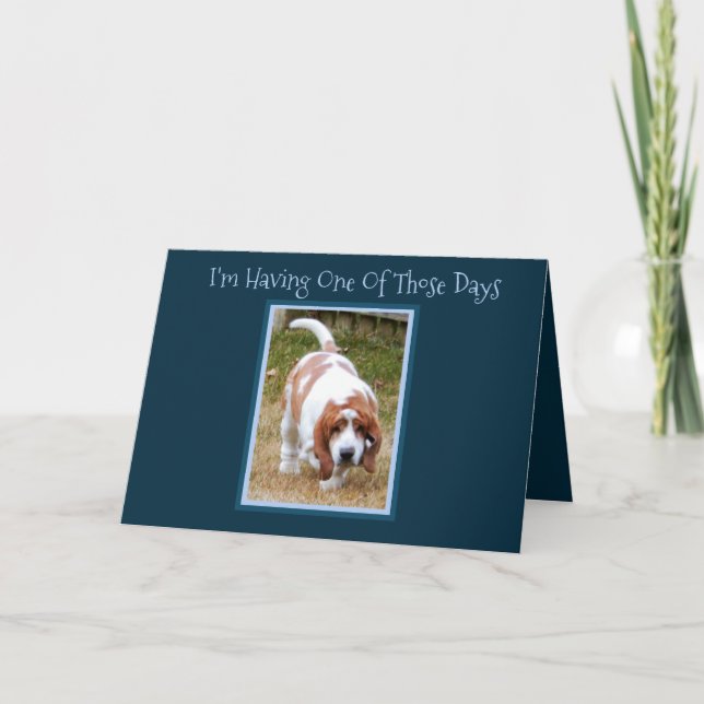 Funny Birthday Card W/Cute Basset Hound & Cake (Front)