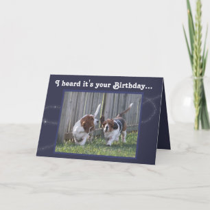 Funny Birthday Card w/Cute Basset Hounds & Balloon