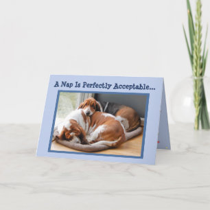 Funny Birthday Card w/Cute Napping Basset Hounds