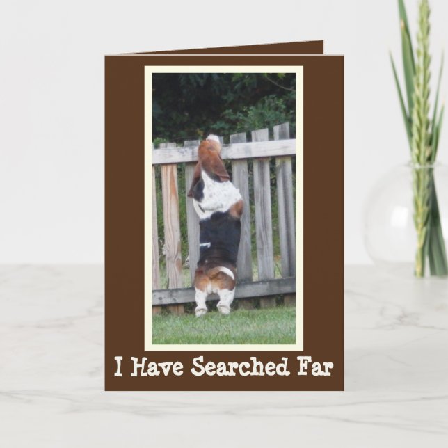 Funny Birthday Card w/Cute Searching Basset Hound (Front)