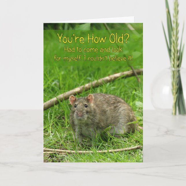 Funny Birthday Card - Wild Brown Rat (Front)