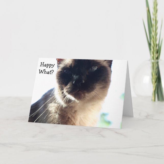 Funny Birthday Card with Cat: Happy What? (Front)