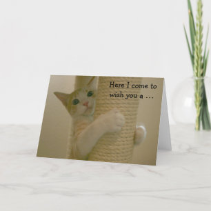 Funny Birthday Card with climbing Cat