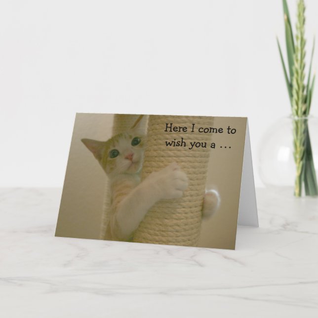 Funny Birthday Card with climbing Cat (Front)