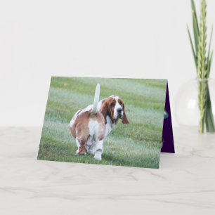 Funny Birthday Card with Cute Basset Hound