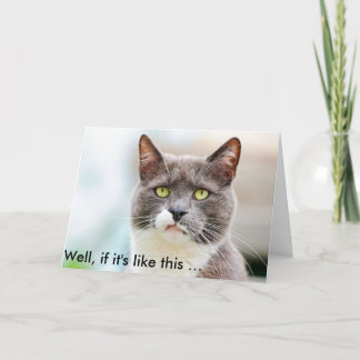 Funny Birthday Card with grumpily looking Cat