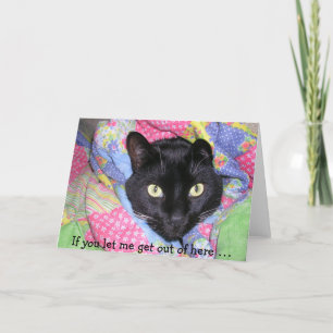 Funny Birthday Card: Wrapped black Cat Card