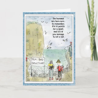 Funny Birthday Cartoon Greeting Card: Seabirds Card