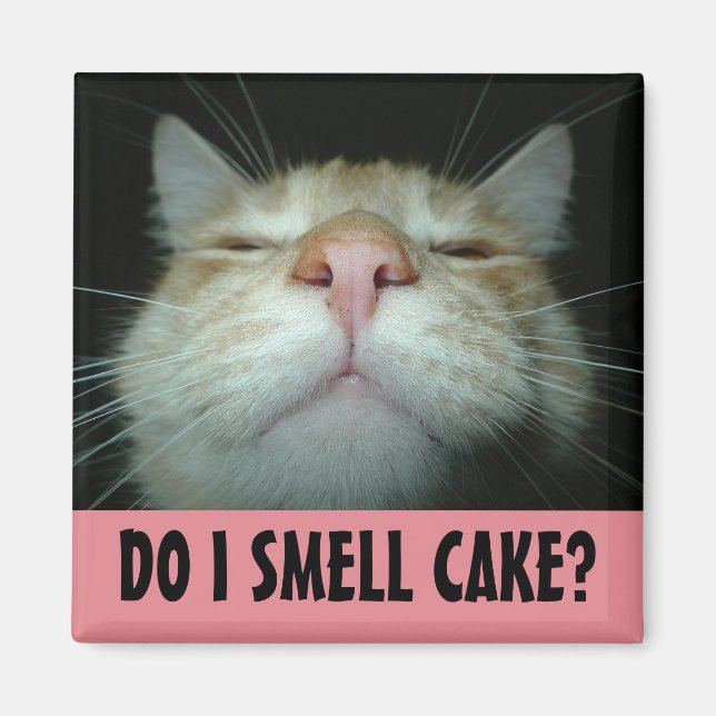 FUNNY BIRTHDAY CAT FRIDGE MAGNETS (Front)