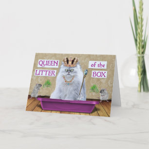 Funny Birthday Cat Queen of the Litter Box Humour Card