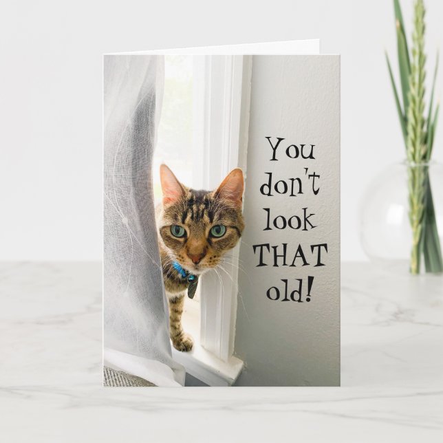 Funny Birthday Compliment Cat Card (Front)