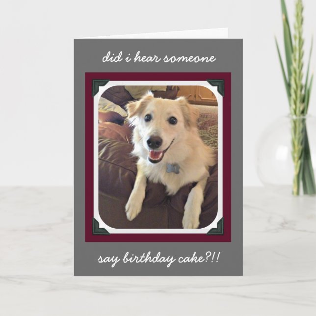 Funny Birthday, Cute Dog birthday cake wishes Card (Front)