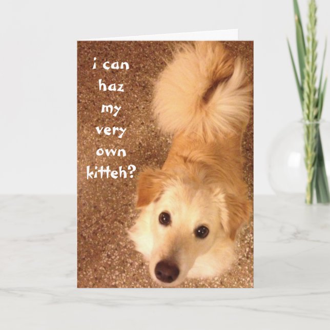 Funny Birthday, Cute dog wishes for birthday cat Card (Front)